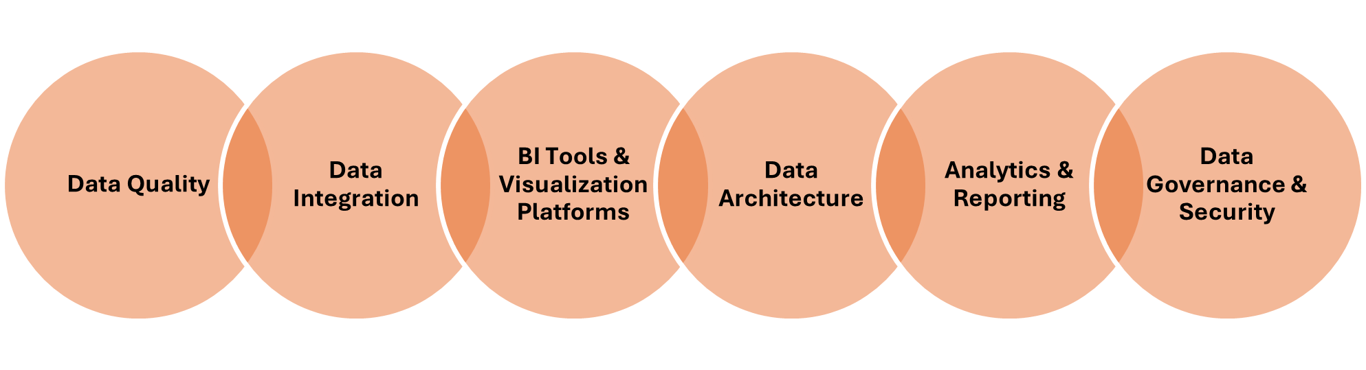 Factors Involved in BI